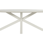 Dining tafel Xander ovaal White -220x120 cm